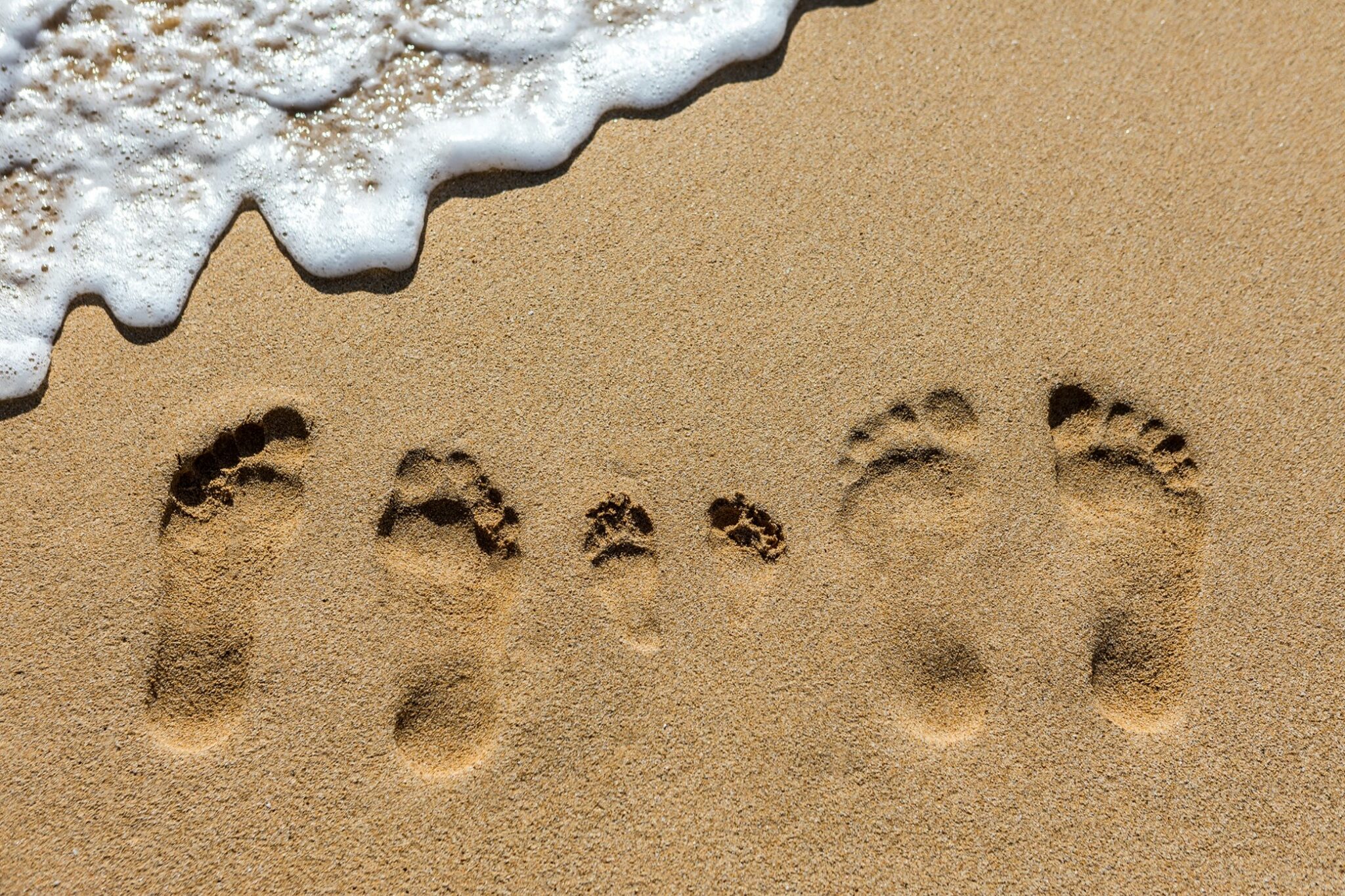 Samenwerkingsregels voetzorg